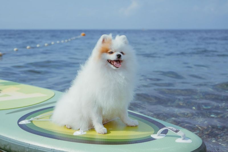 Отель "Delta Sirius" / "Дельта Сириус"